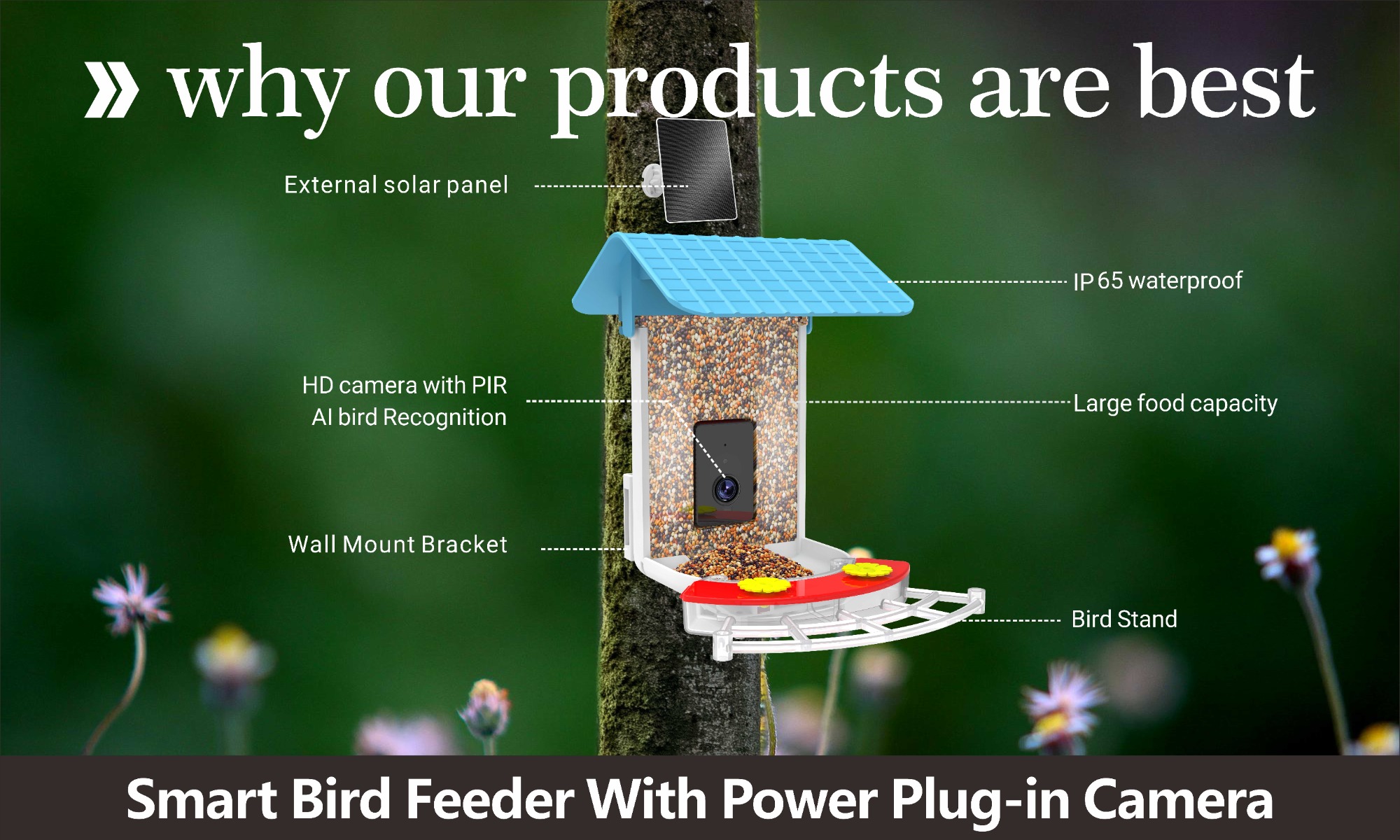 Pine Lake-smart pet feeder, smart pet toy, smart bird feeder, automatic pet  feeder, smart home