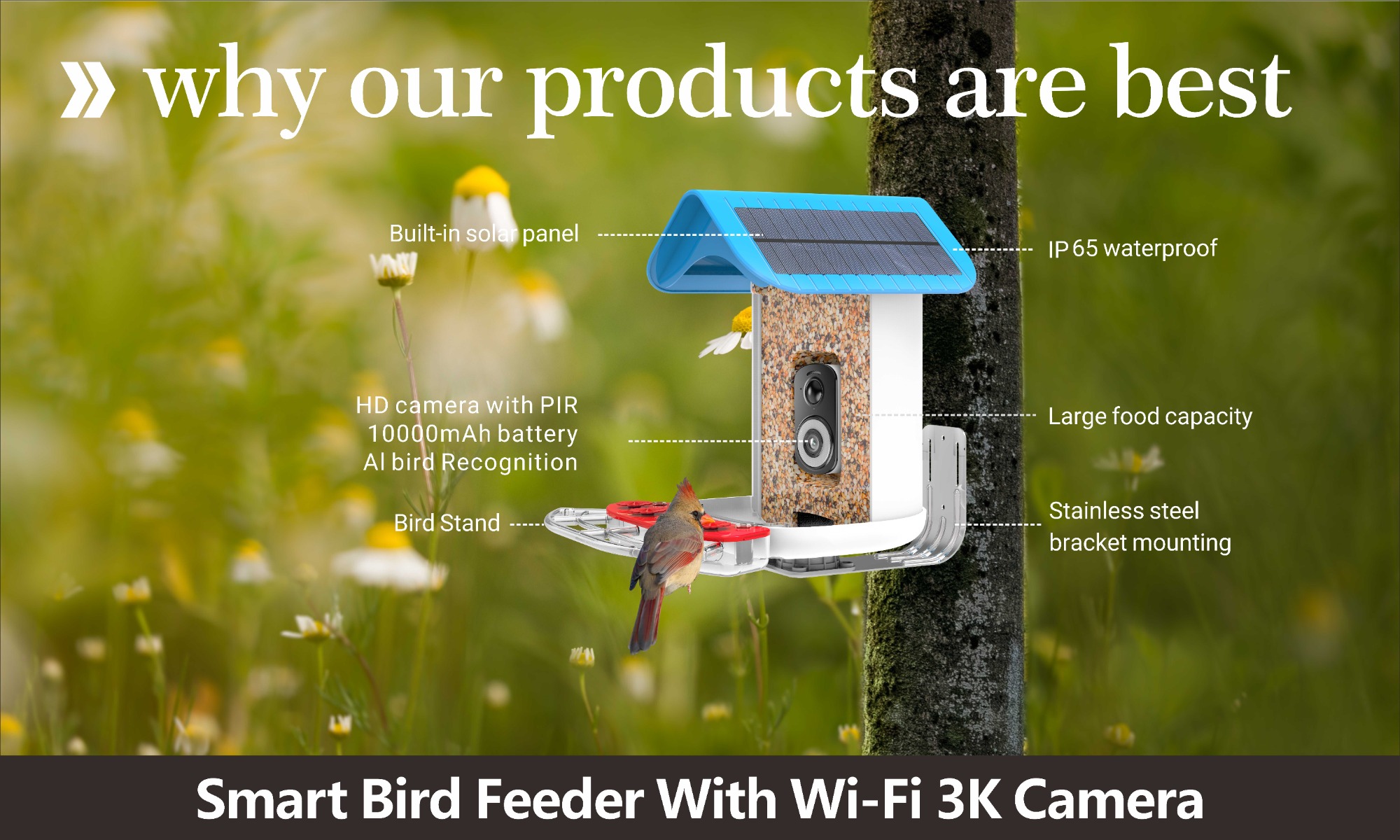 Pine Lake-smart pet feeder, smart pet toy, smart bird feeder, automatic pet  feeder, smart home