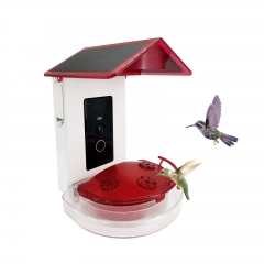 HM01 Professional Hummingbird Feeder with Smart Al Camera