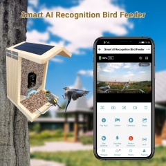 WBF11 Smart Bird Feeder with WI-FI Camera