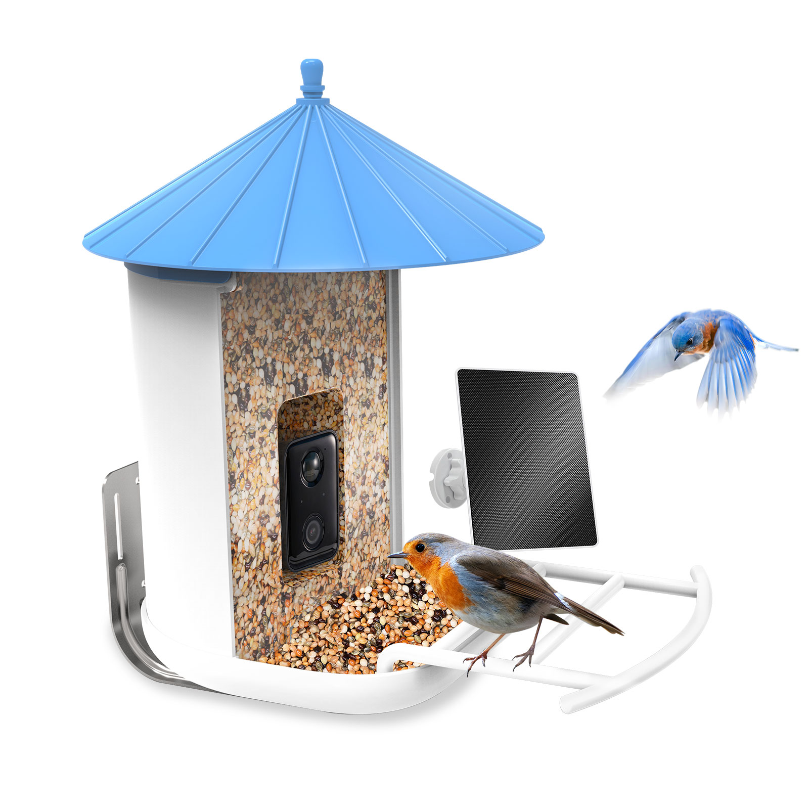 Fussbric Smart Bird Feeder with Camera, App India