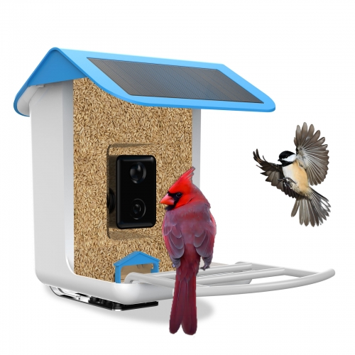 BF002 Smart Bird Feeder with WI-FI Camera