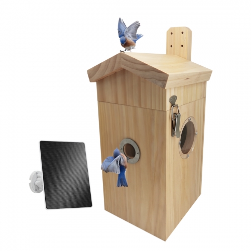 NH04 Smart Bird Feeder with WI-FI Camera