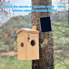 NH04 Smart Bird Nesting House with WI-FI Camera