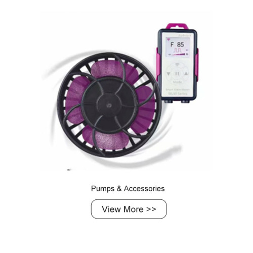Pump & Accessories