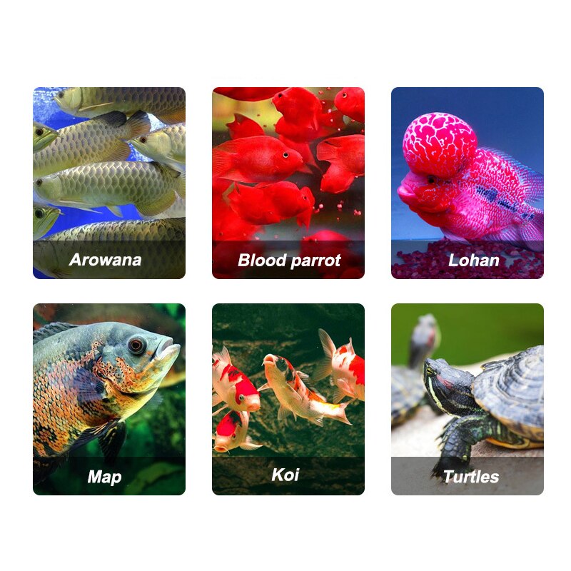 Tropical cichlid Turtle Flowerhorn Carnivore Fish Food Freeze Dried Shrimp Antartic Krill