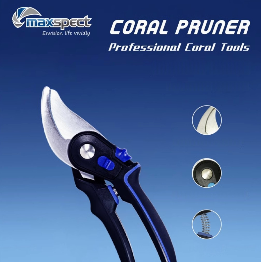 Aquarium Coral Pruner- Durable 3Cr13 Stainless Steel Scissor Hard Chrome Finish Comfortable Grip for Precision Cutting