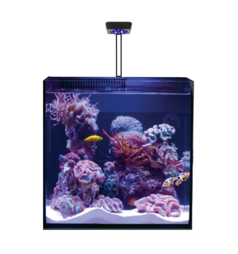 Micmol Thor G4 Aqua Mini WIFI Smart Aquarium LED Light for Saltwater Freshwater Algae Tank