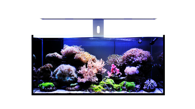 MicMol G3 AQUA Air Series Bluetooth APP Control Aquarium Full Spectrum Led Light for Frewater / Marine Tank