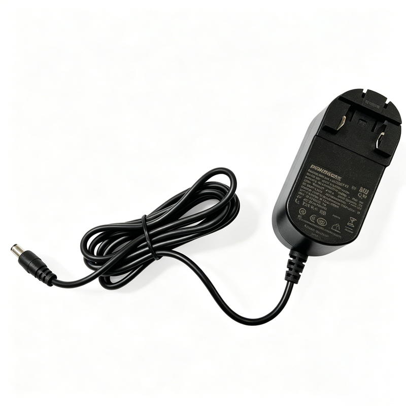 MJ-SK200/2200Power supply (including plug)