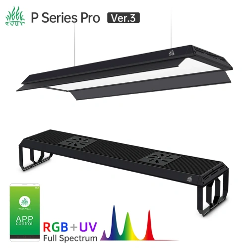 WEEK AQUA P Series Ver.3 Shipping Free and Tax Free to Mexico