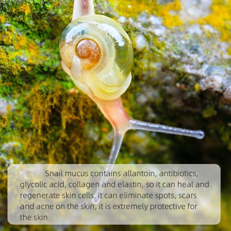 Snails Moisturizing And Delaying Aging Body Lotion