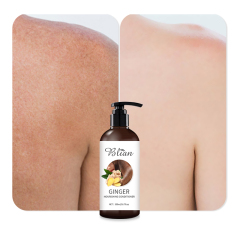 Ginger Hydrate And Nourish Body Shower Gel