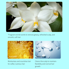 Orchid Aromatherapy Smooth Hair Conditioner