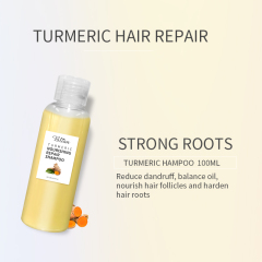 Turmeric Nourish Scalp Hair Shampoo