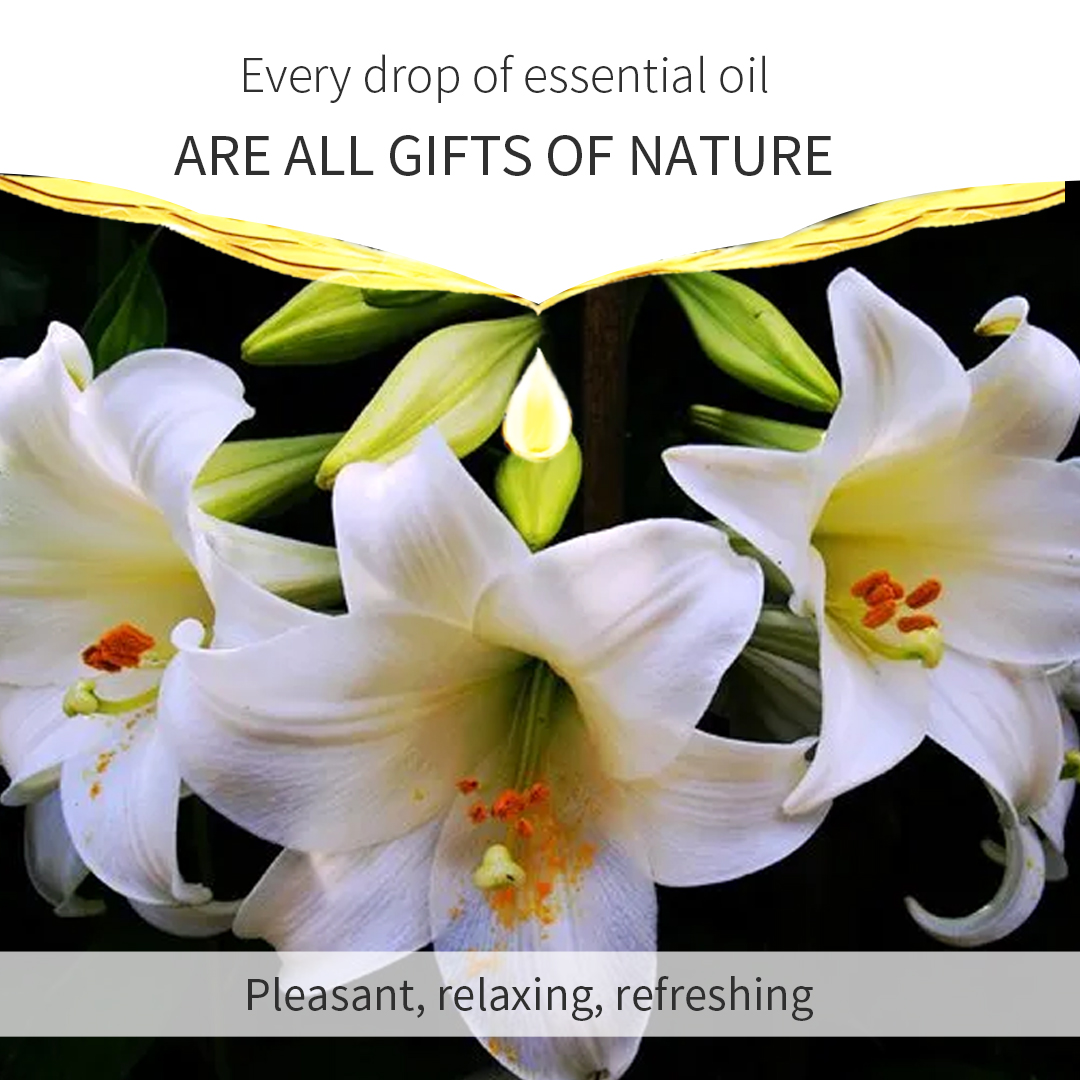 Lily Aromatic Healing Aromatherapy Essential Oil