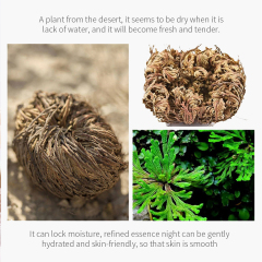 Resurrection Grass Moisturizing Hydrating Softening Anti-Hair Loss Hair Mask
