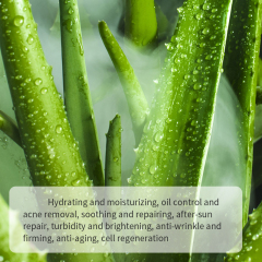 Aloe Vera Moisturizing And Hydrating Body Skin Shower Gel