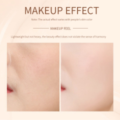 Two-Tone Air Cushion Bb Cream Concealer Hide Pores Natural Moisturizing Makeup Facial Bb Cream