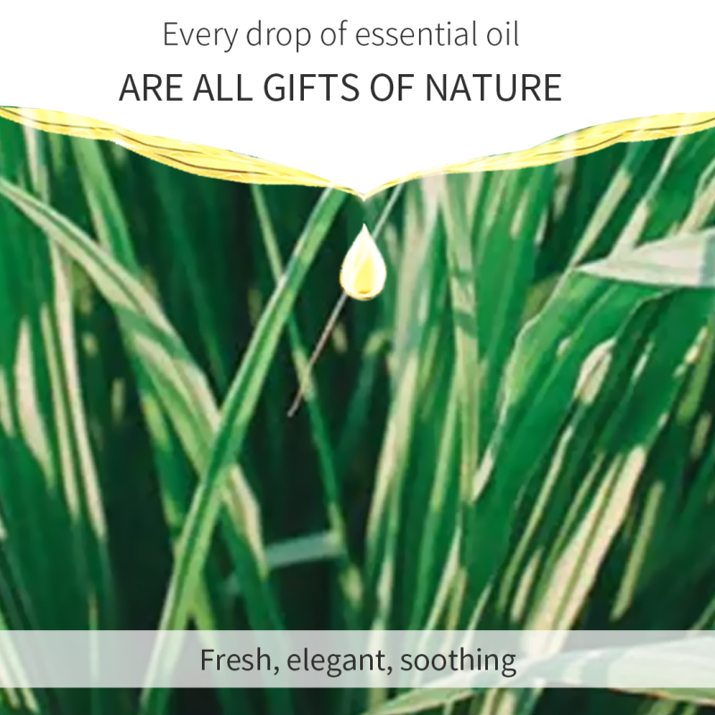 Lemongrass Eliminate Fatigue Aromatherapy Essential Oil