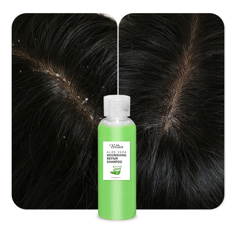 Aloe Vera Moisturizing Hair Shampoo