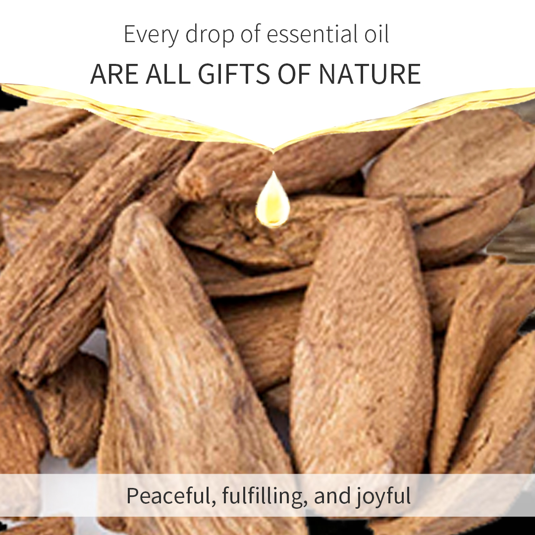 Agarwood Sweet Warmth And Deep Woody Aroma Aromatherapy Essential Oil