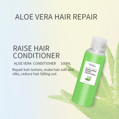 Aloe Vera Smooth And Brighten Hair Conditioner