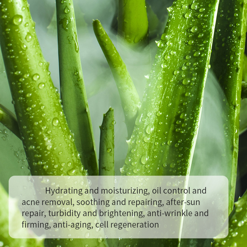 Aloe Vera Smooth And Brighten Hair Conditioner