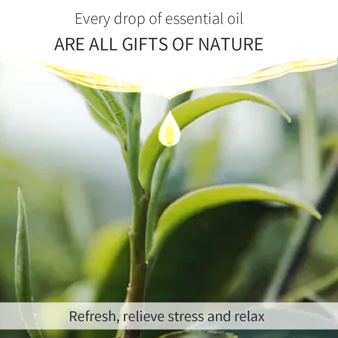 Tea Tree Stress Relief Aromatherapy Essential Oil