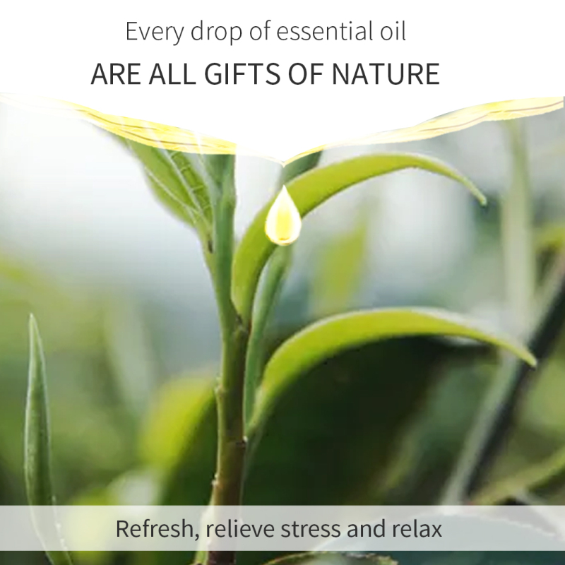 Tea Tree Stress Relief Aromatherapy Essential Oil