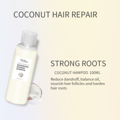 Coconut Curly Hair Protection Hair Shampoo 100ml