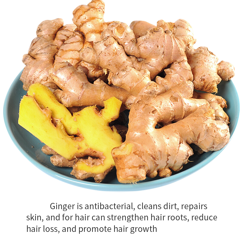 Ginger Nourishes Scalp Protects Hair Roots And Prevents Hair Loss Hair Conditioner