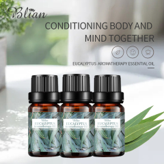 Eucalyptus Promotes Feelings Of Relaxation Boosts Energy & Mental Clarity Aromatherapy Essential Oil