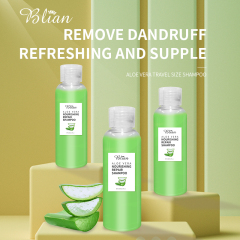 Aloe Vera Moisturizing Hair Shampoo