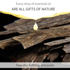 Sandalwood Improving Concentration Aromatherapy Essential Oil