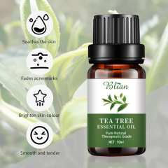 Tea Tree Moisturizing Anti-Acne Nourishing Massage Essential Oil