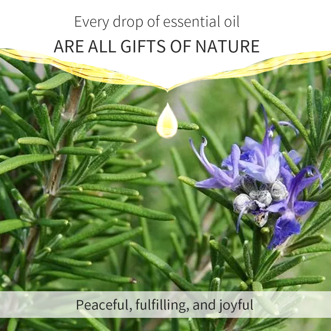 Rosemary Stress Relief Aromatherapy Essential Oil