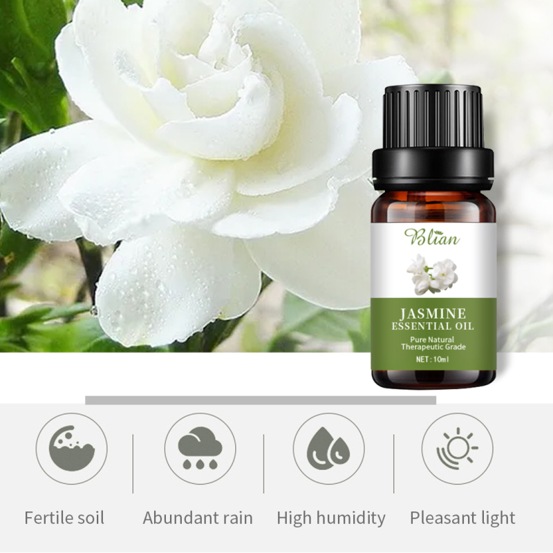 Jasmine Relax Nourishes Hydrates Massage Essential Oil