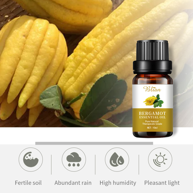 Bergamot Relax Nourishes Hydrates Massage Essential Oil