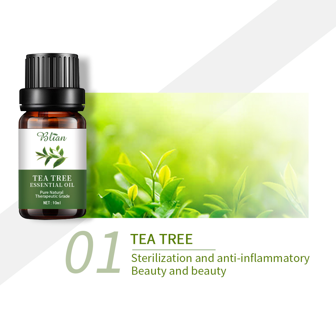 Tea Tree Soothe Dryness Massage Essential Oil Set