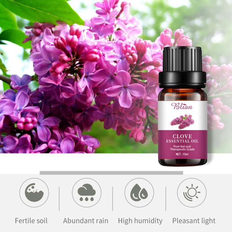 Lilac Relax Nourishes Hydrates Massage Essential Oil