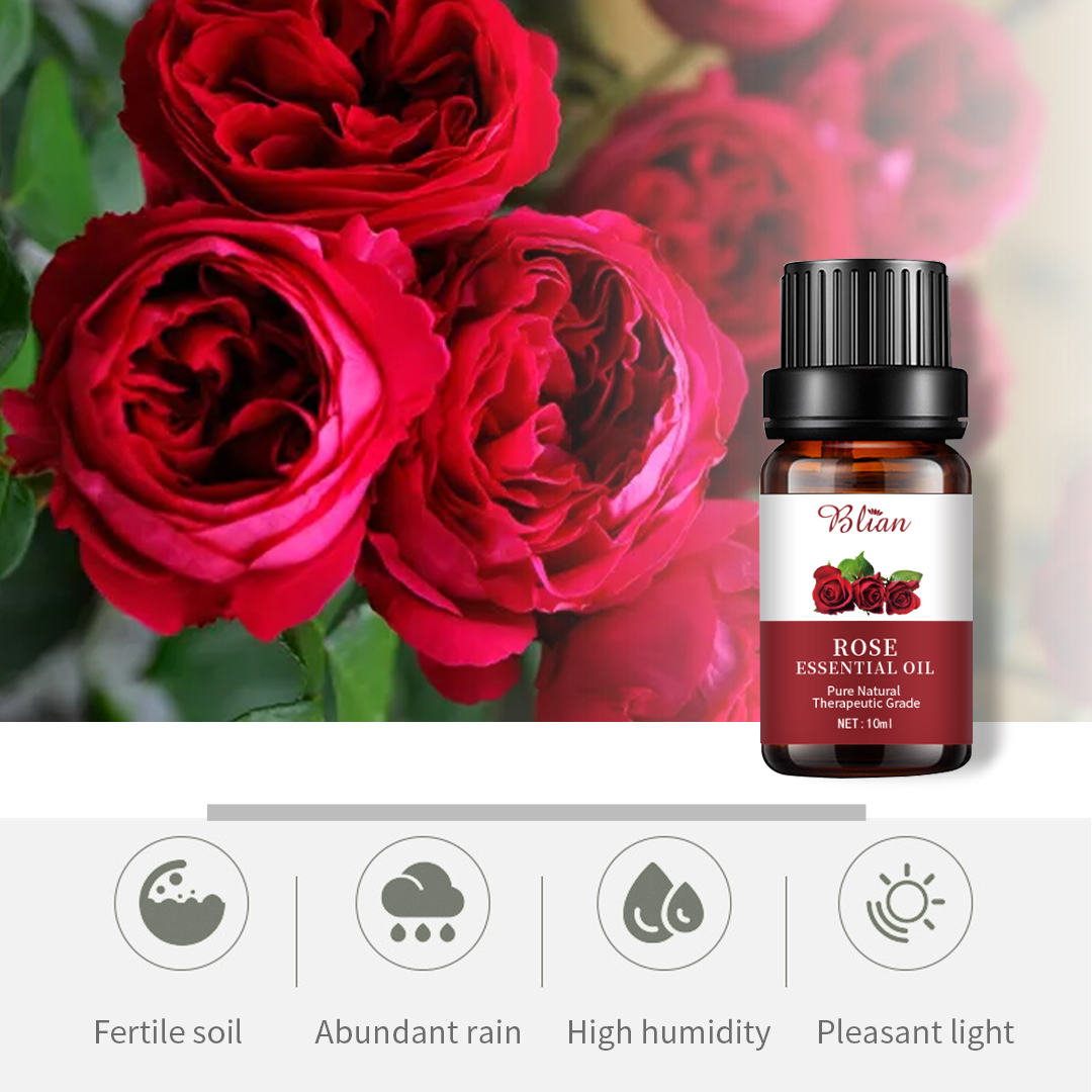 Rose Relax Nourishes Hydrates Massage Essential Oil