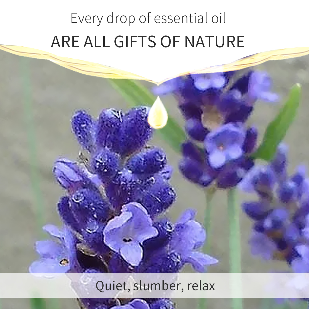 Lavender Relaxation Aromatherapy Essential Oil