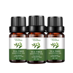 Tea Tree Moisturizing Anti-Acne Nourishing Massage Essential Oil
