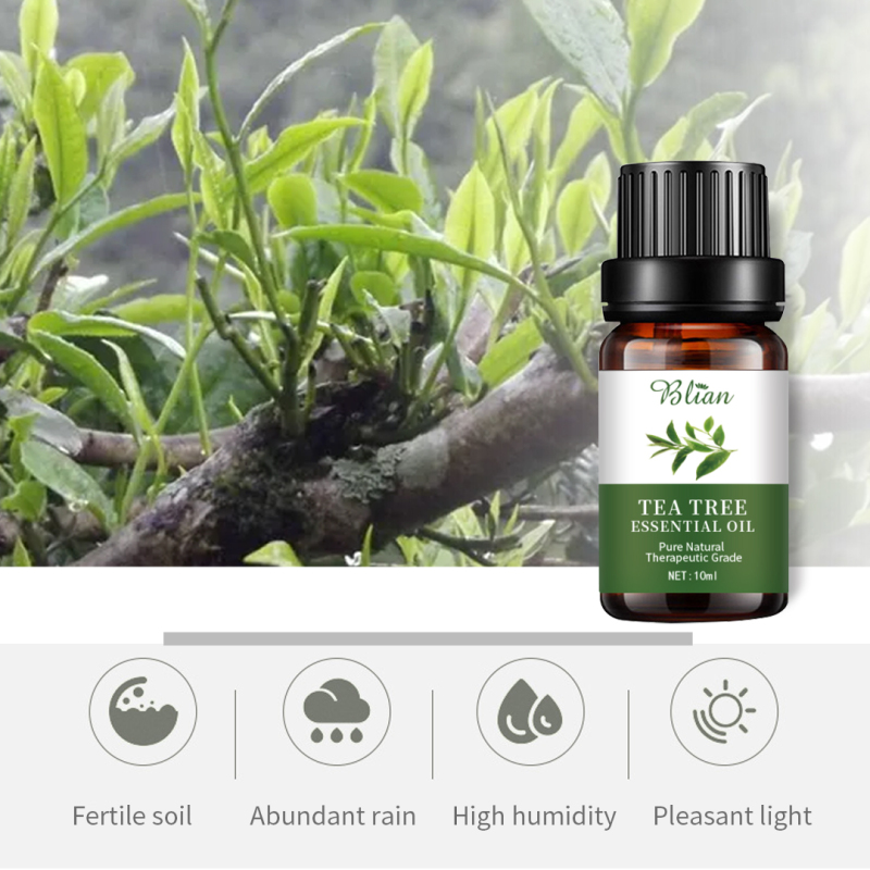 Tea Tree Moisturizing Anti-Acne Nourishing Massage Essential Oil