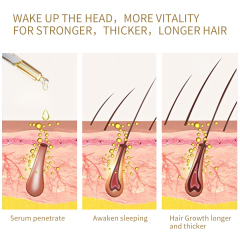Hair Growth Oil Hair Serum