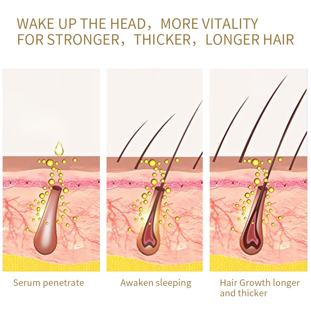 Root Development Nutrition Hair Essential Oil