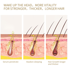 Root Development Nutrition Hair Essential Oil