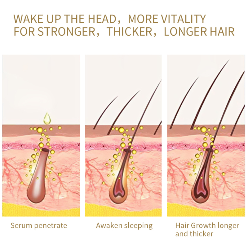 Root Development Nutrition Hair Essential Oil