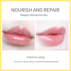 Turmeric Honey Lip Scrub